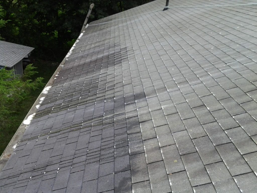 roof cleaning experts