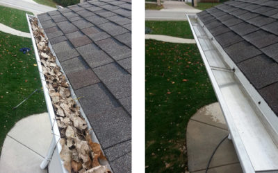 Expert Gutter Cleaning Services in Newton, NJ by Sussex Roof Cleaners: Protect Your Home Today