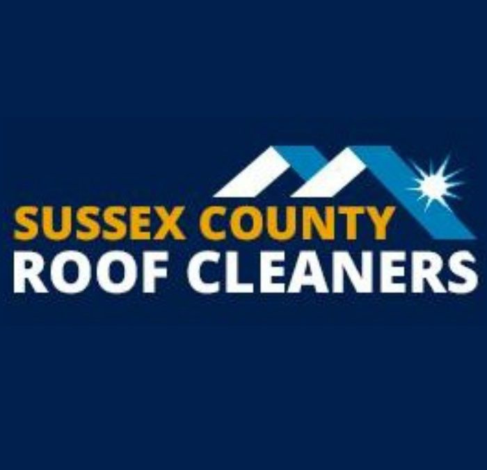 Roof cleaning services