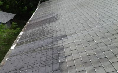 How Roof Cleaning Can Help Allergy-Proof Your Home