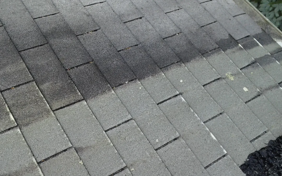 The Importance of Regular Roof Cleaning for Prolonging Your Roof’s Lifespan