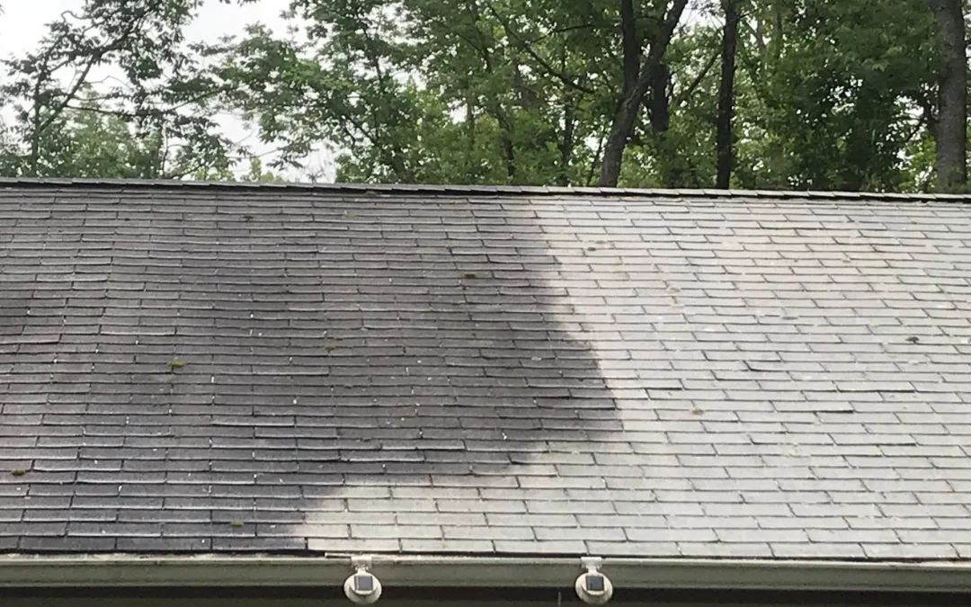 How to Prepare Your Roof for Cleaning