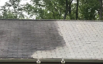 Experience Superior Roof Cleaning Services in Newton, NJ with Sussex Roof Cleaners