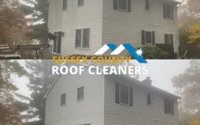 The importance of professional roof cleaning services